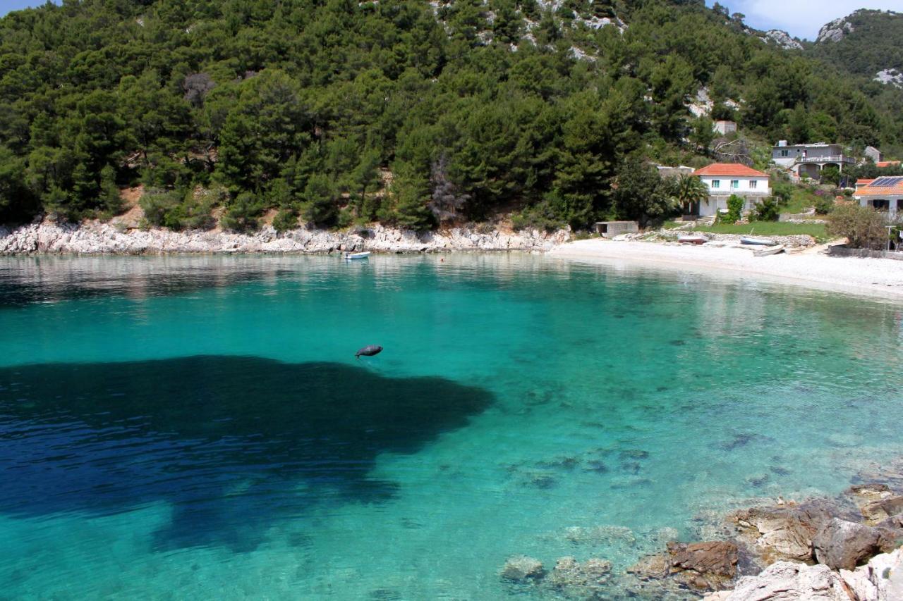 Seaside Secluded Apartments Cove Skozanje, Hvar - 14899 Gdinj Екстер'єр фото